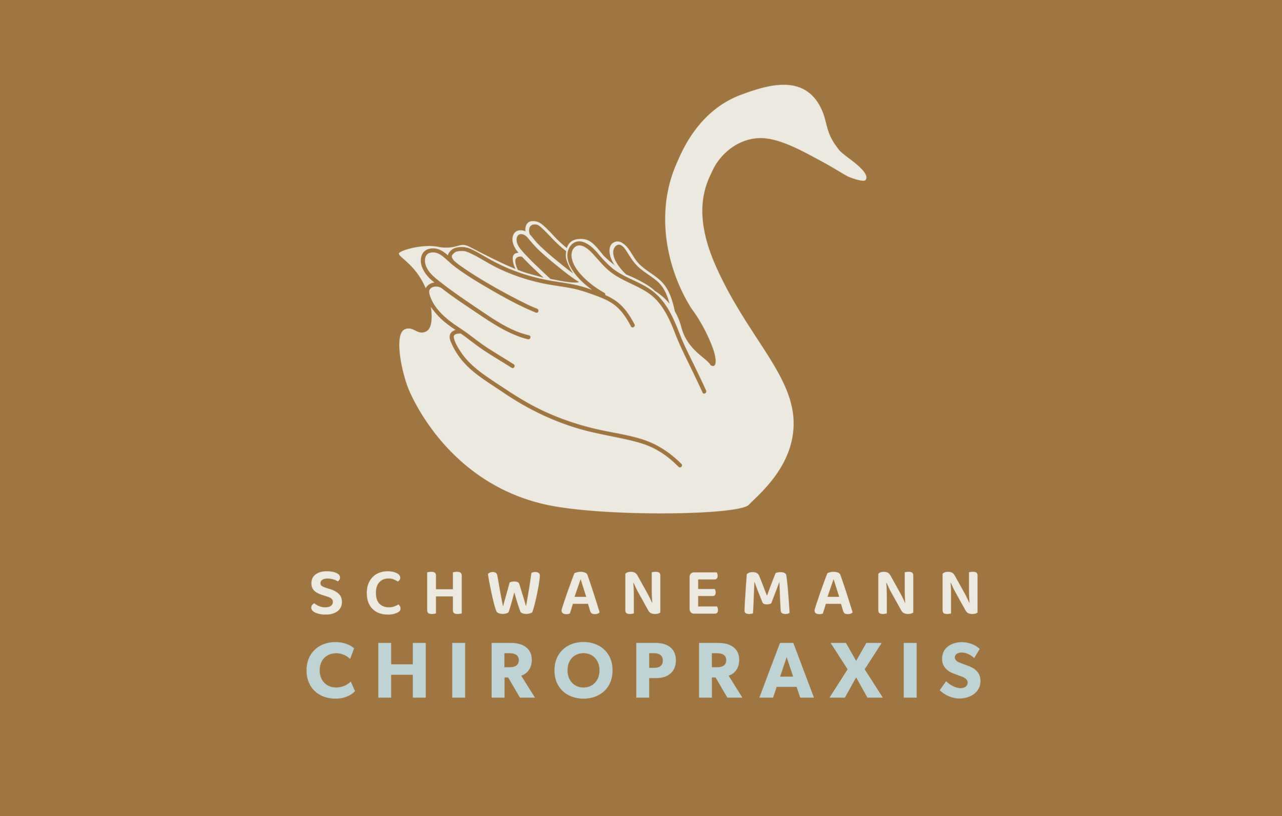 Schwanemann Chiropraxis